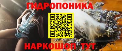 a pvp Малгобек