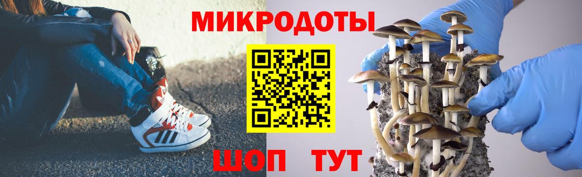 Галлюциногенные грибы мицелий  Галлюциногенные грибы Psilocybine cubensis  Чита  Вход с VPN 