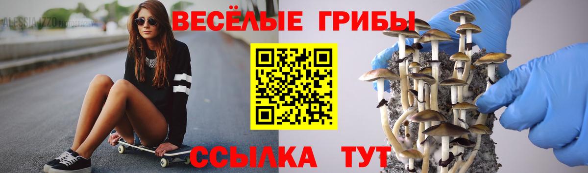 Псилоцибиновые грибы Psilocybe Чита